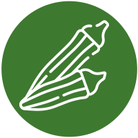 Okra