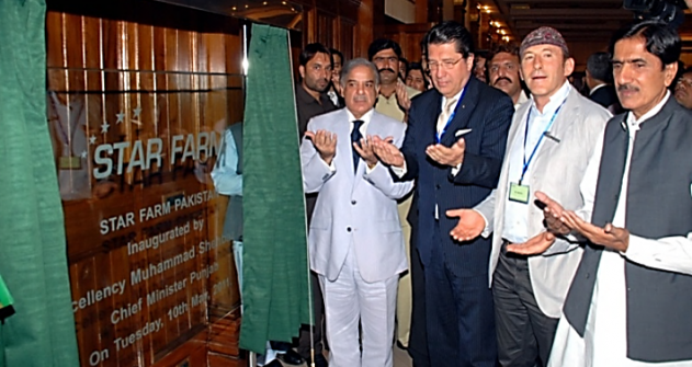 About StarFarm About Us